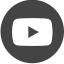 youtube-logo-icon.png